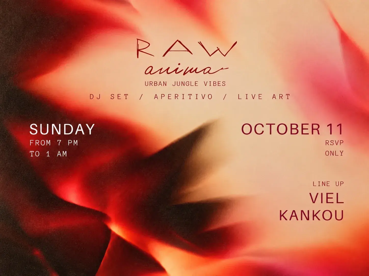 RAW ANIMA X DESCO