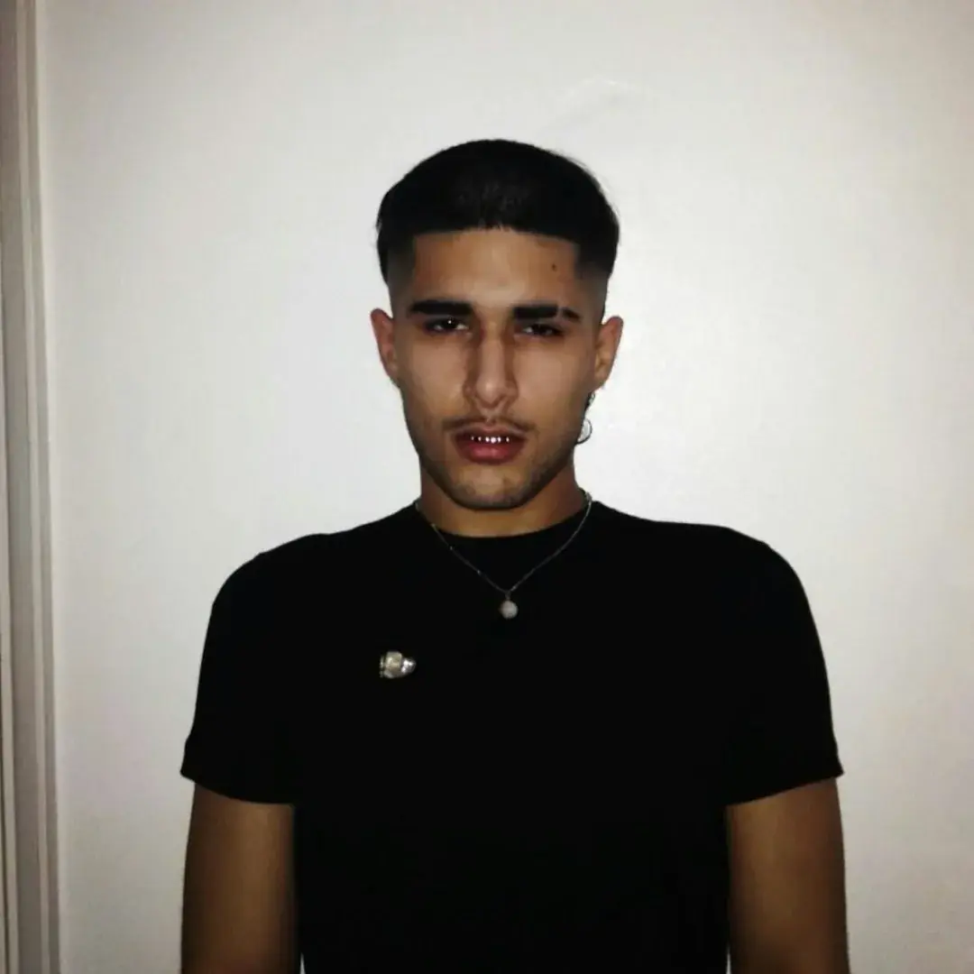 fakemink