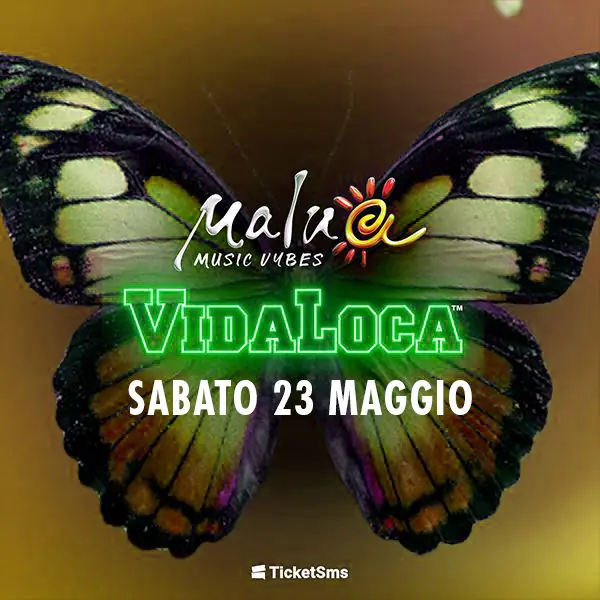 Vidaloca