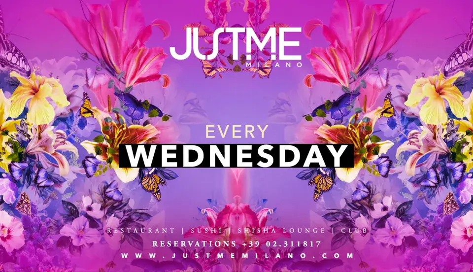 Wednesday Night