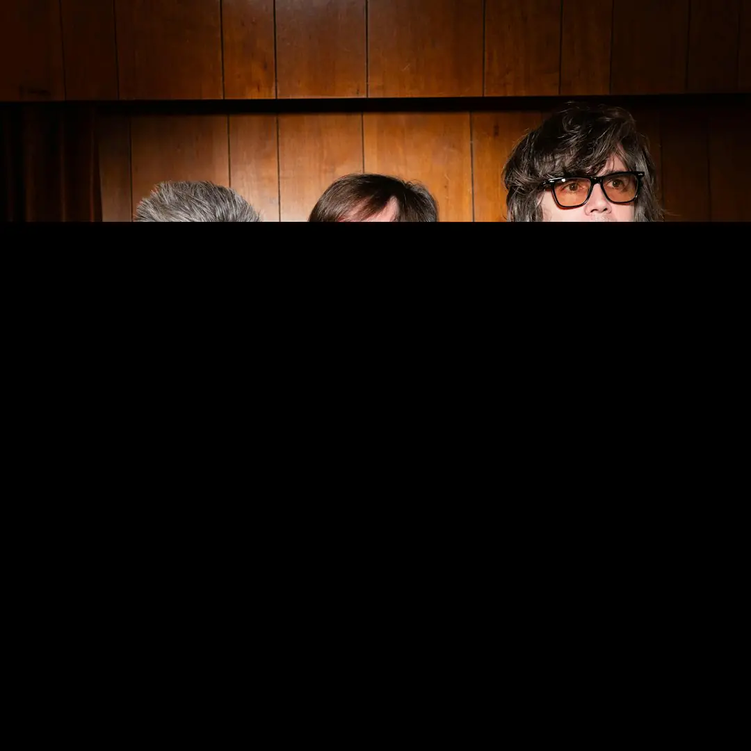 The Mountain Goats