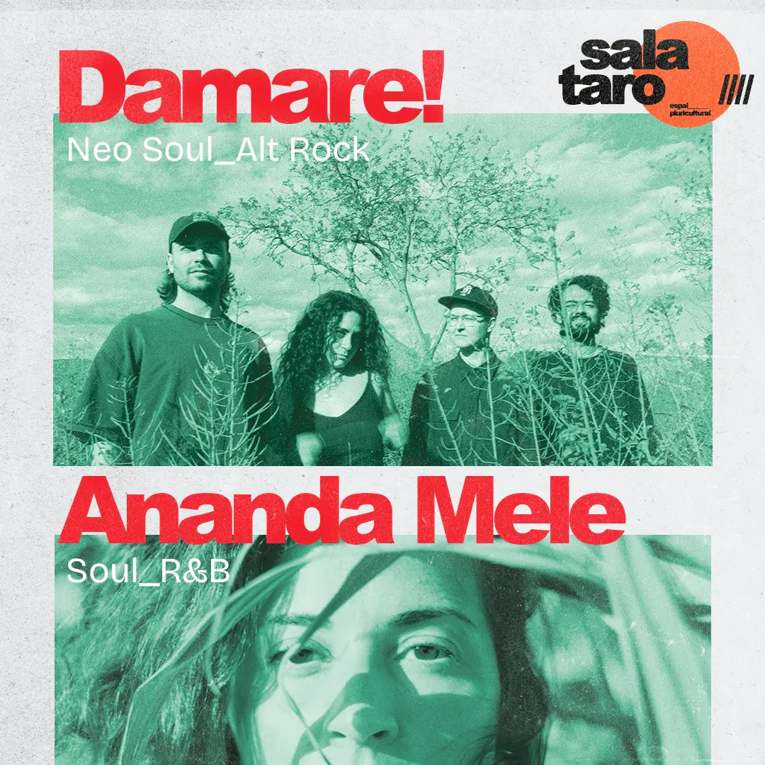 Damare! + Ananda Mele
