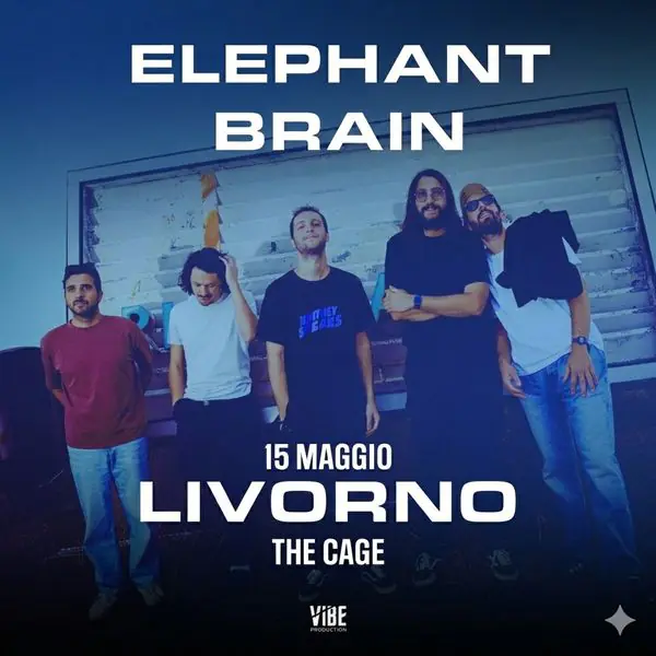 Elephant Brain