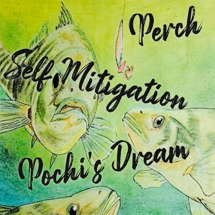 Perch - It's Not LIke This For Everyone tour kickoff @ Hotel Utah