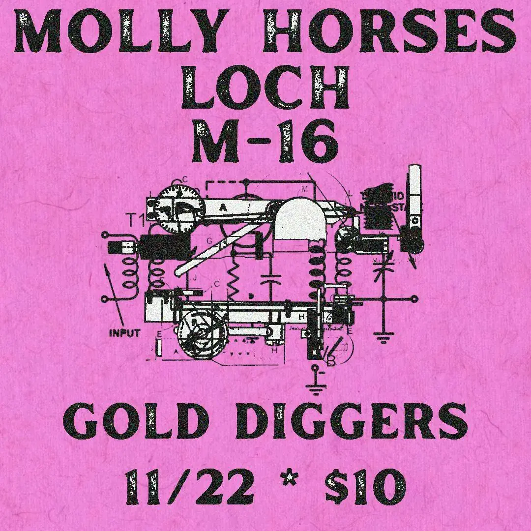 Molly Horses, Loch, M-16