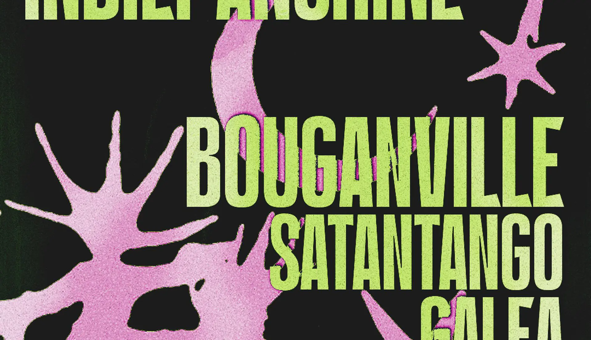 BOUGANVILLE + SATANTANGO E GALEA