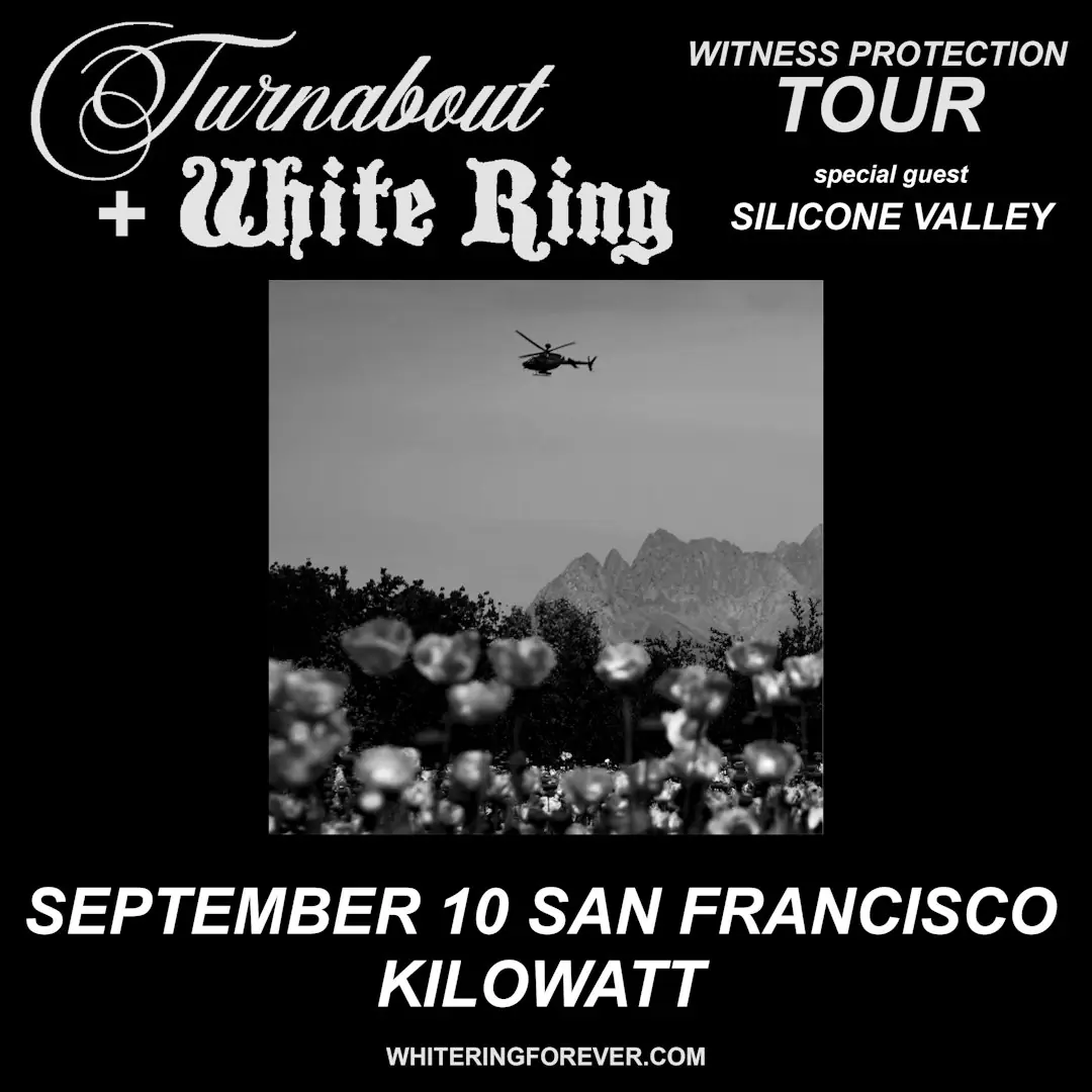 Turnabout + White Ring w / Silicone Valley