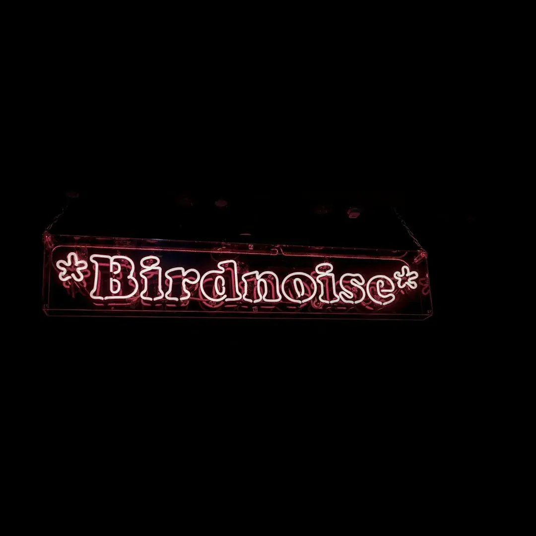 Birdnoise: R&B Edition