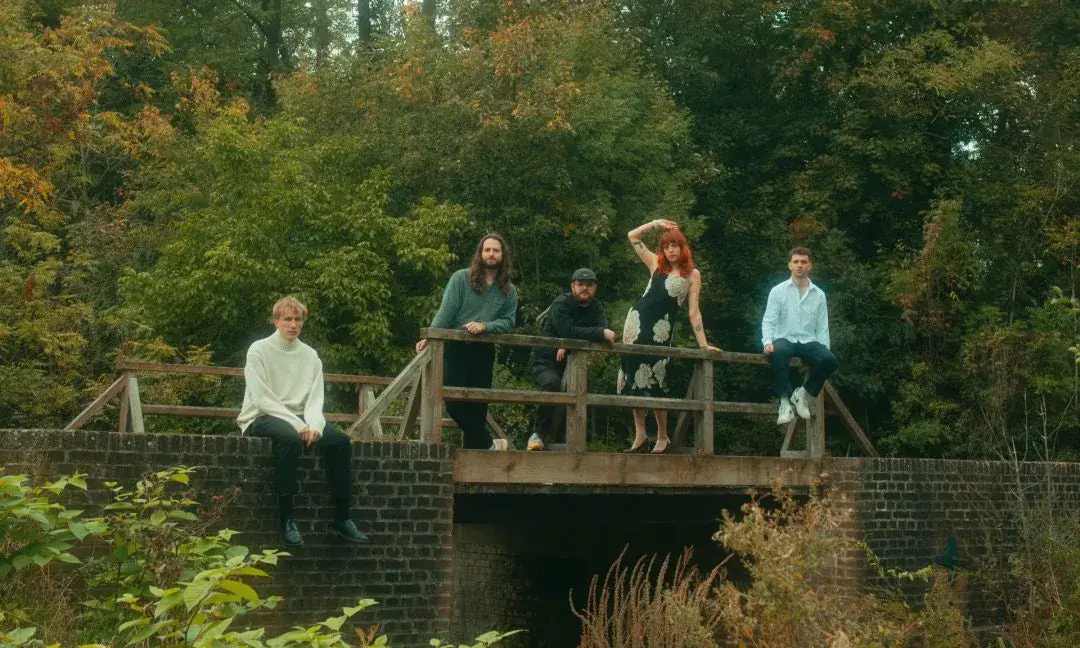 DITZ (uk)