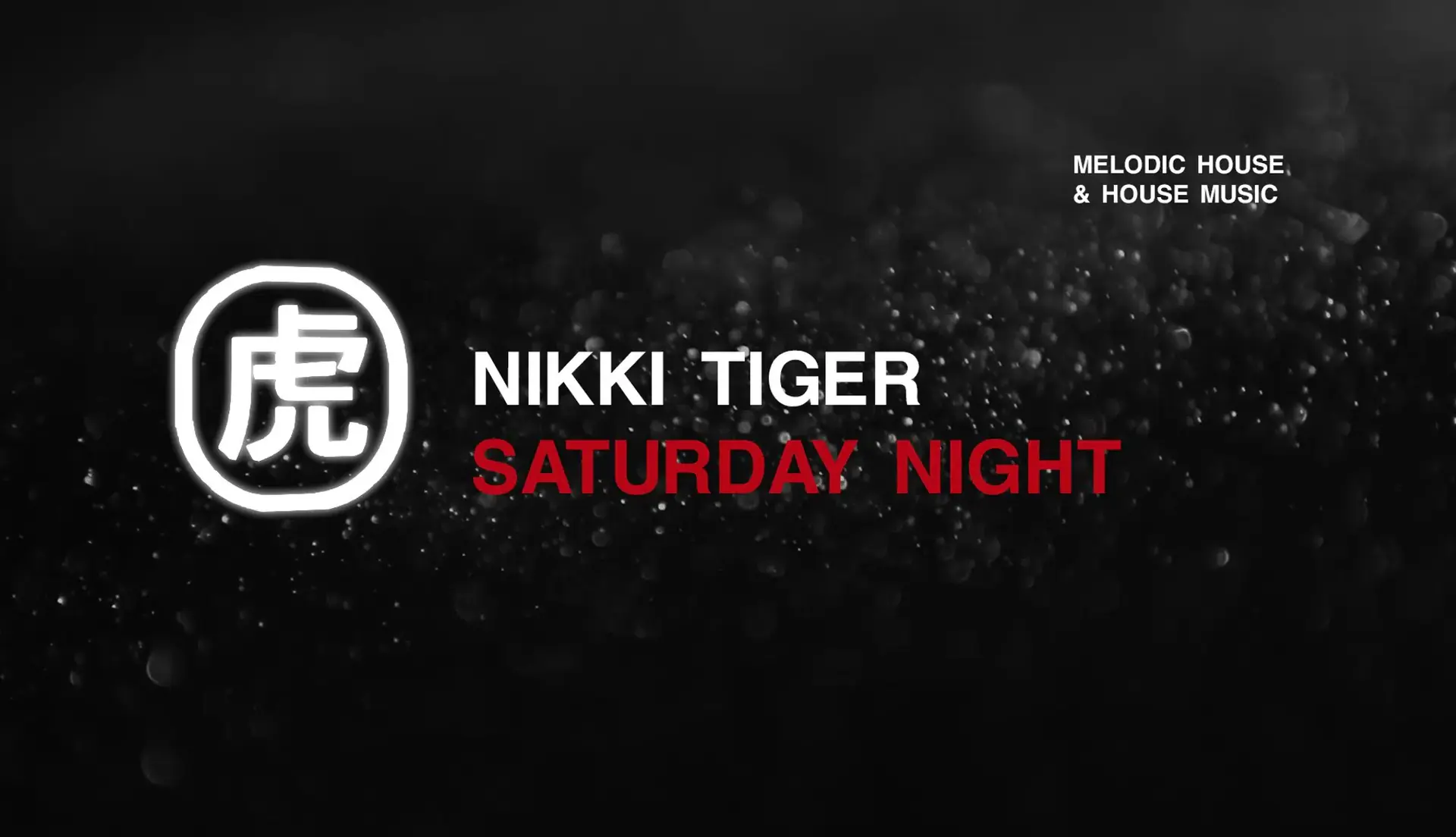Nikki Tiger Saturday presents Merlin