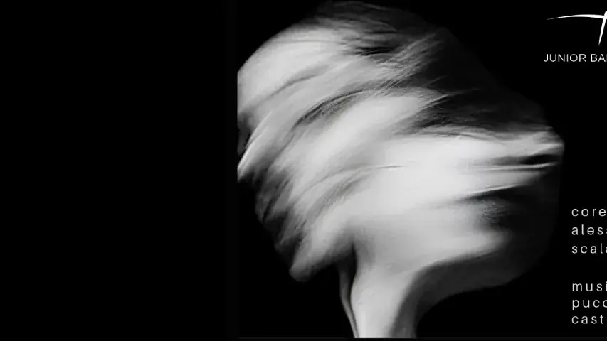 Interference