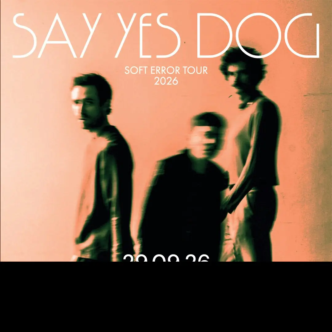 Say Yes Dog
