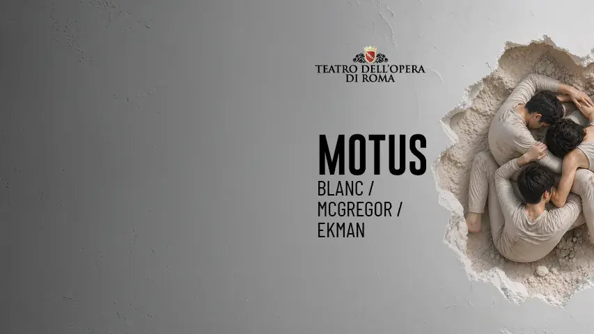 MOTUS D