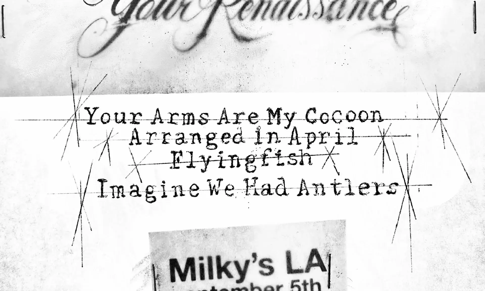 Your Arms Are My Cocoon, Arranged in April, Flyingfish, Imagine We Had Antlers