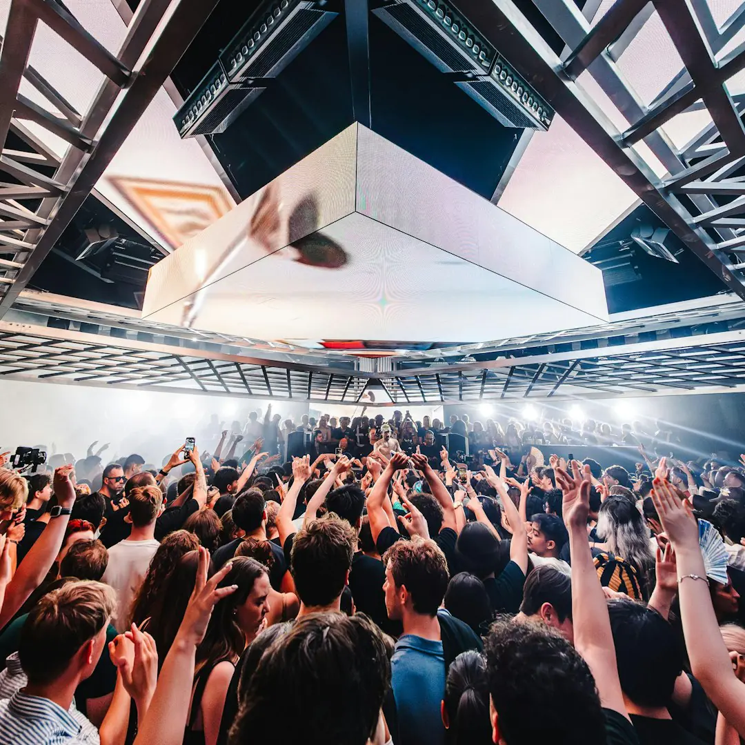 BLINK: SILVER PANDA, Y DO I + MORE
