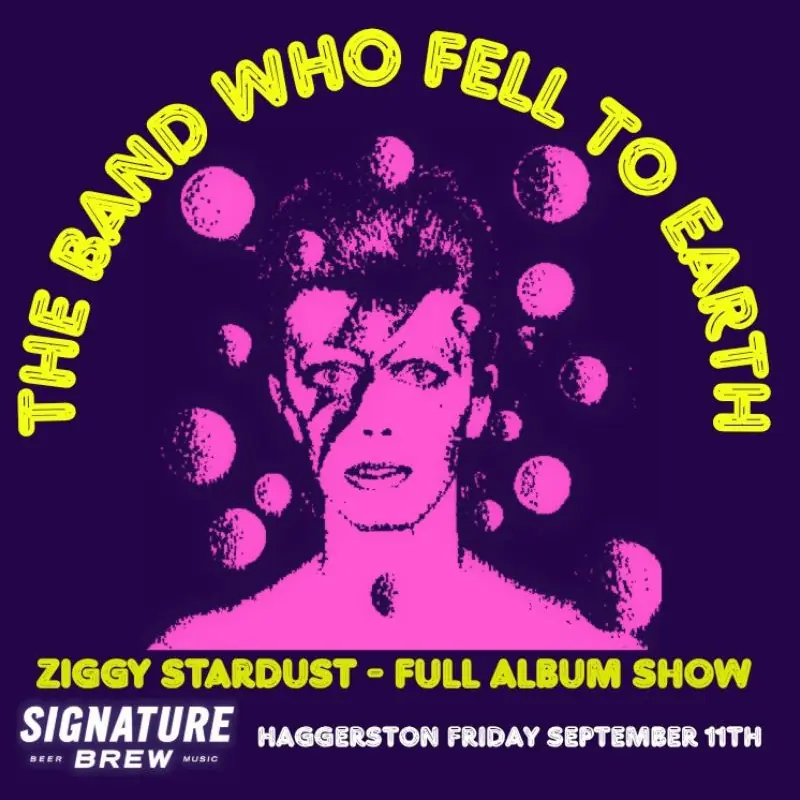 David Bowie - The Rise And Fall of Ziggy Stardust & The Spiders From Mars Tribute