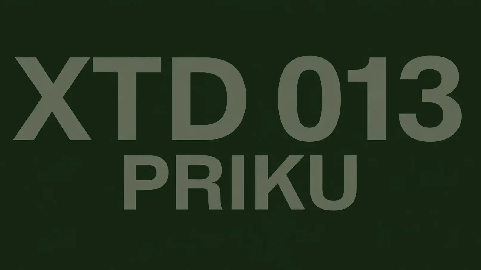 XTD 013 - Priku