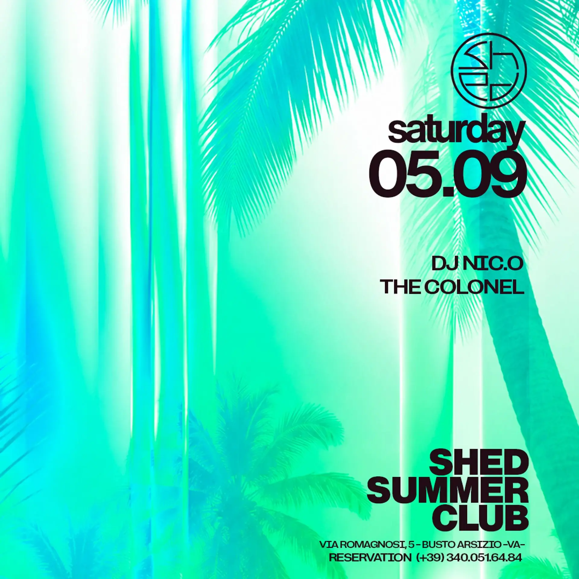 SHED SATURDAY - 05.09
