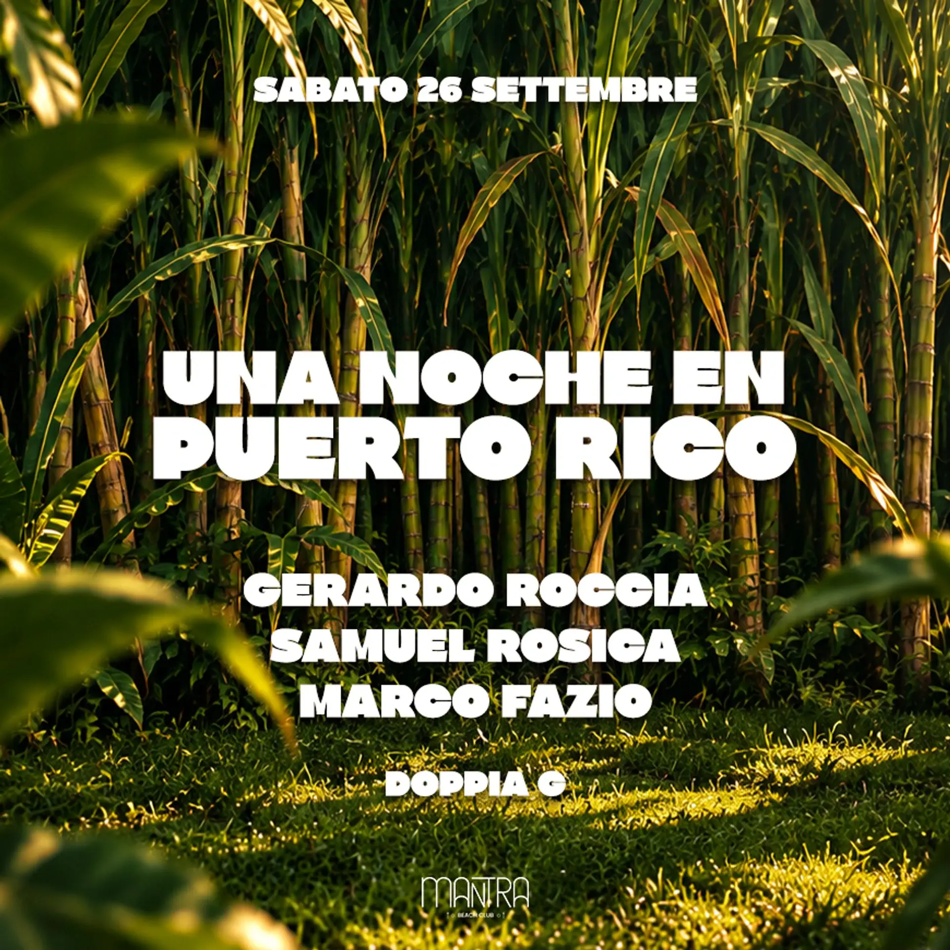 UNA NOCHE EN PUERTO RICO 🇵🇷