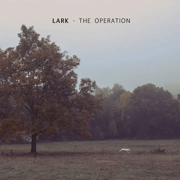 Lark