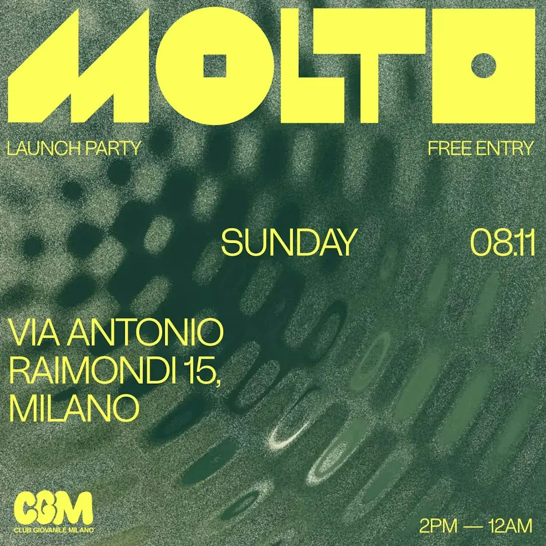 MOLTO Launch Party