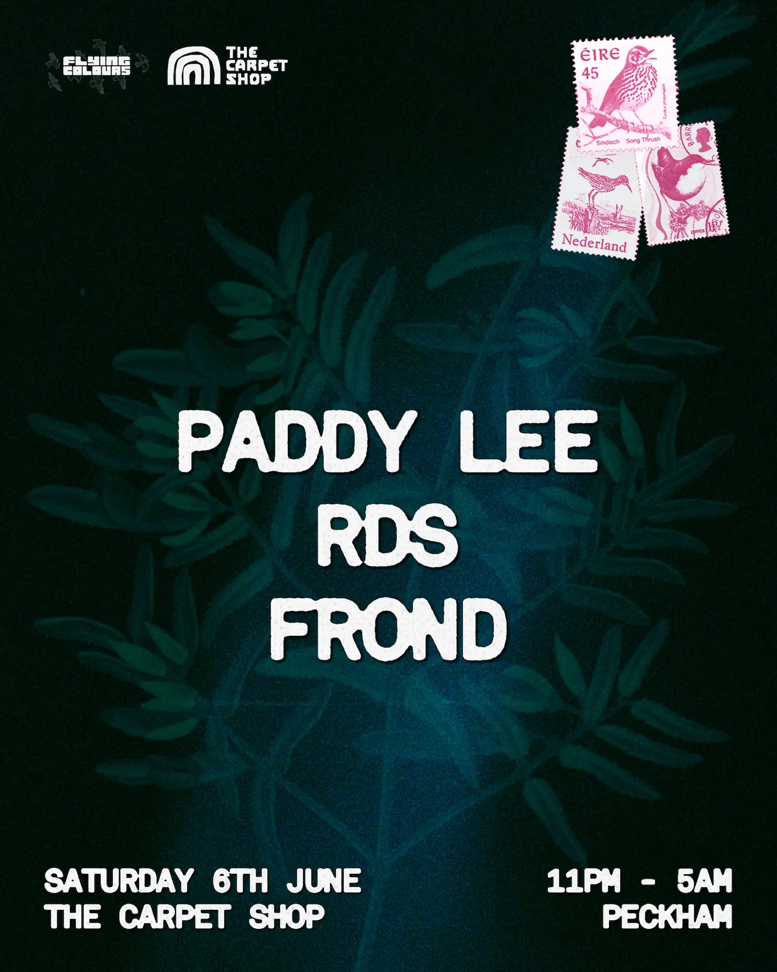 Flying Colours w / Paddy Lee, RDS & FROND