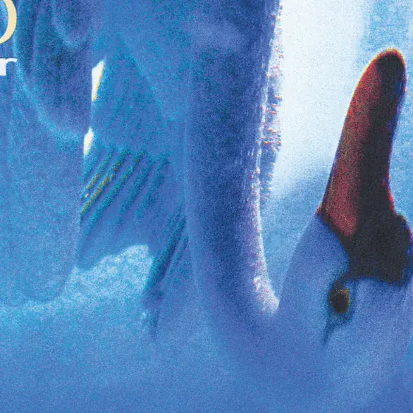 Secret World, Fleshwater e Ingrown