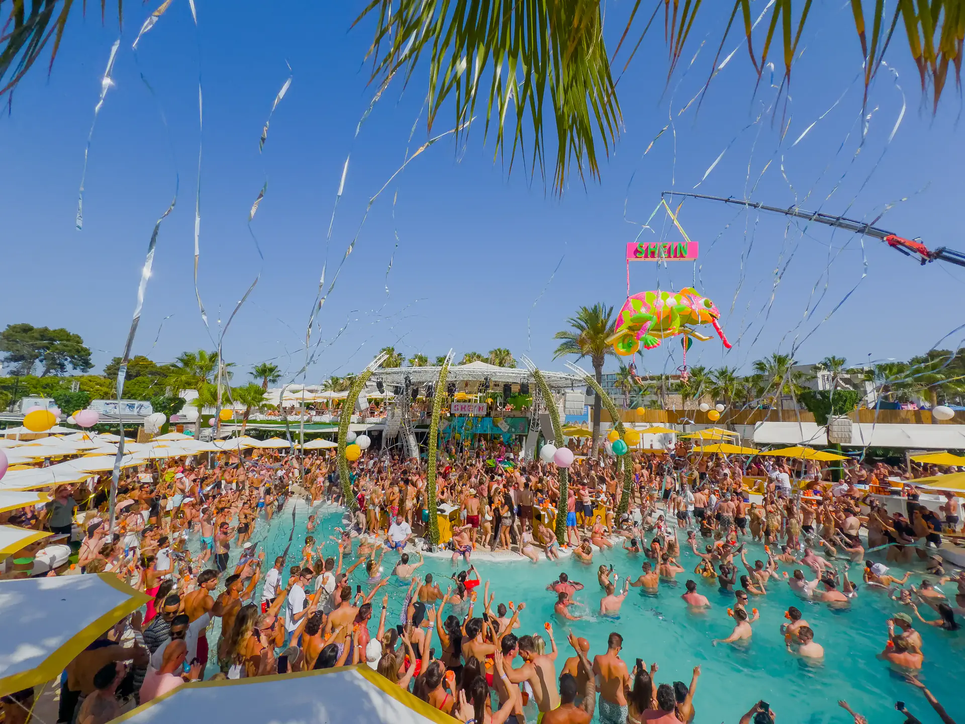 POOL PARTY