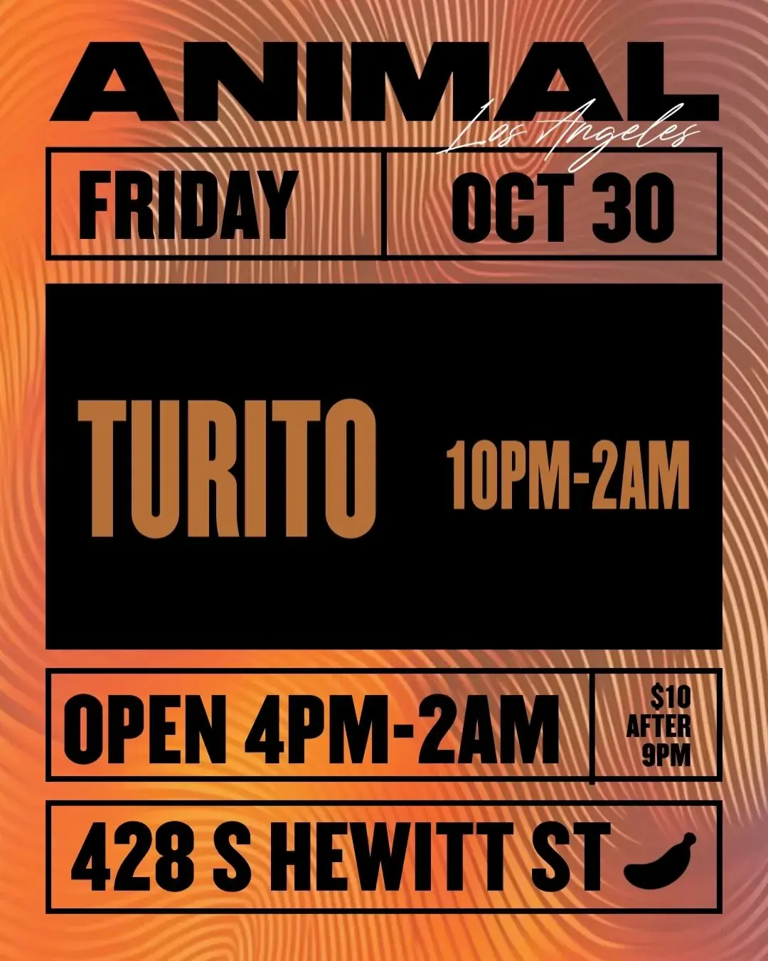 Turito