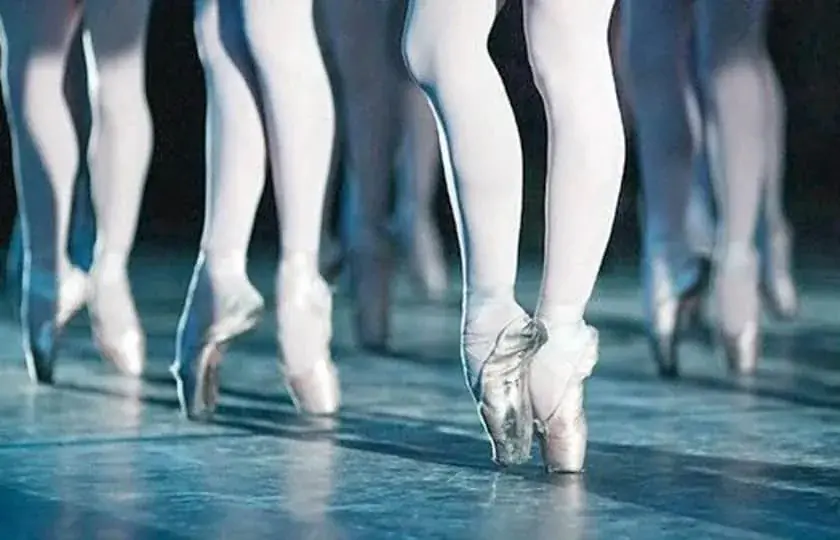 Lo Schiaccianoci Russian Classical Ballet