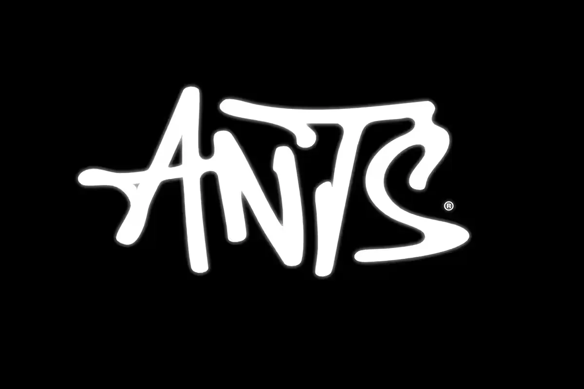 ANTS | Night
