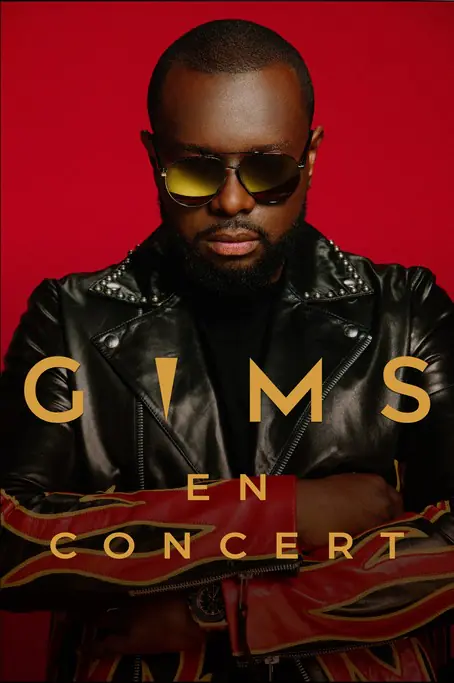 Maitre Gim's @ Zénith de Nantes Métropole