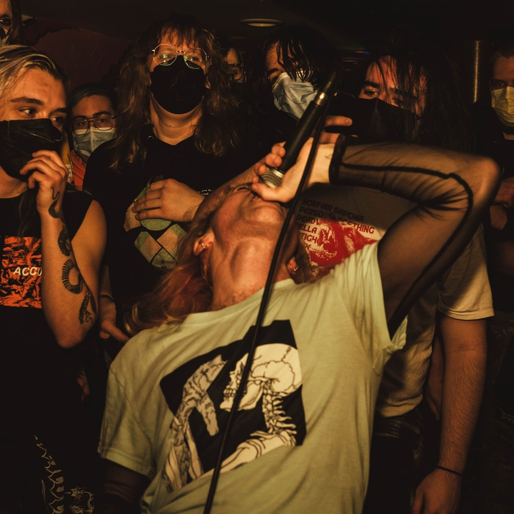 Cocojoey, Anita Velveeta