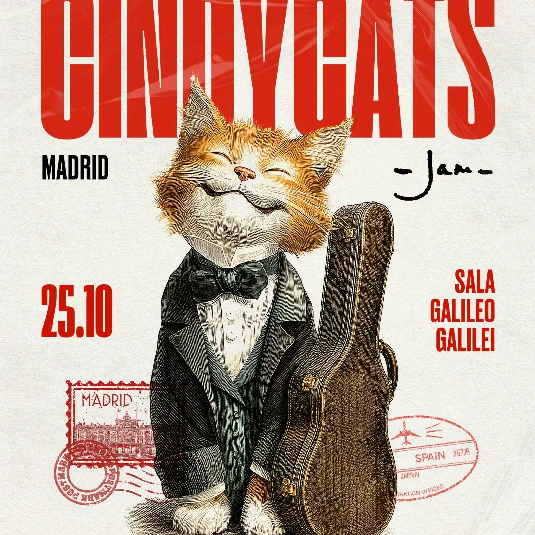Cindy Cats