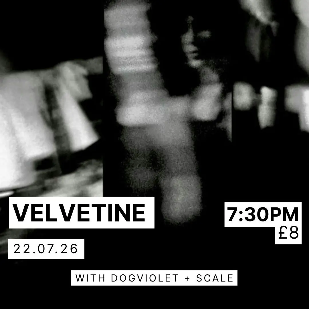Velvetine + Dogviolet + Scale