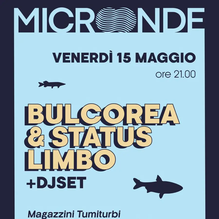 Mikrowelle | Bulcorea+Status Limbo | Seegeräusche