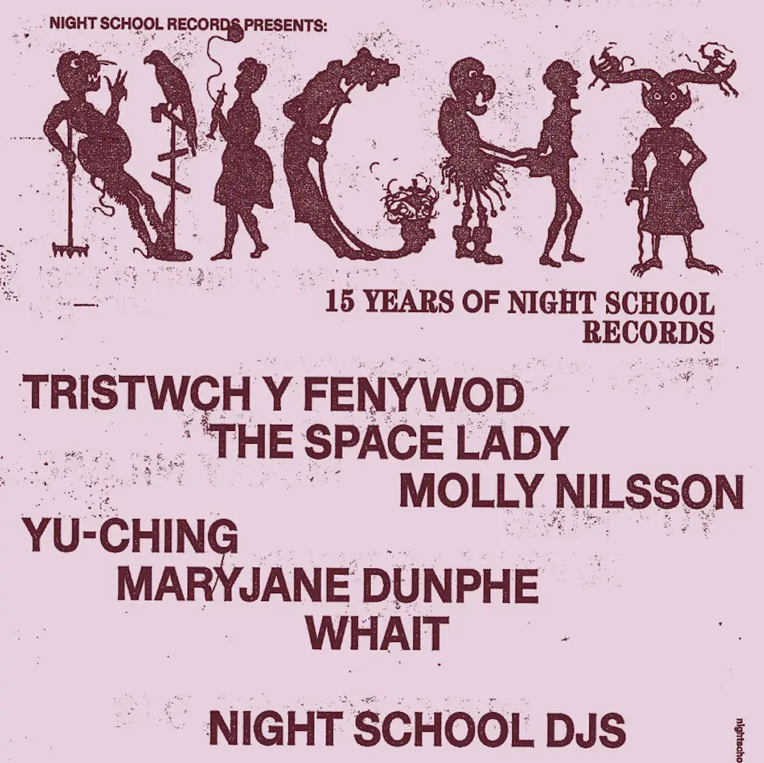 NIGHT - 15 Years of Night School Records