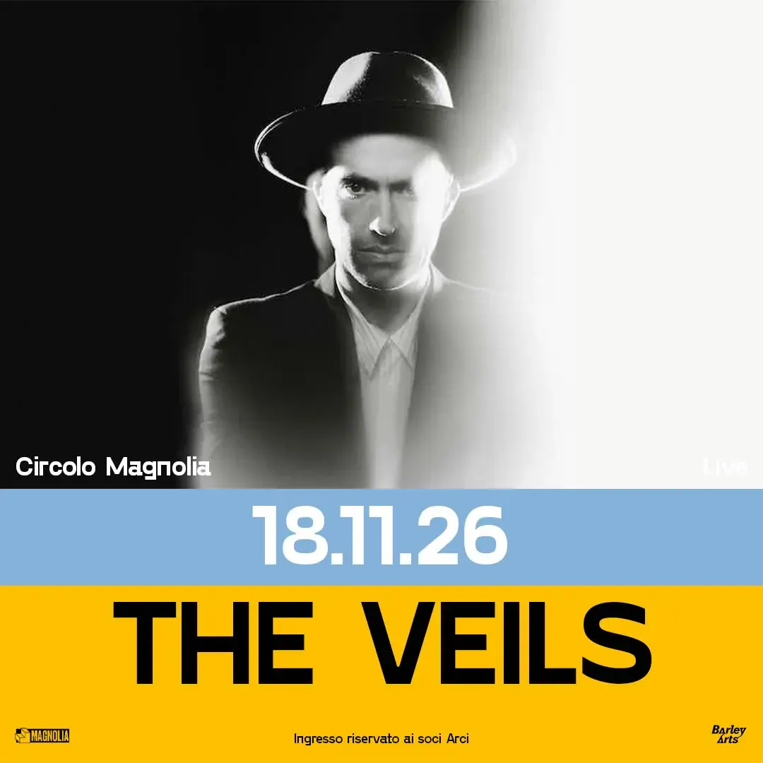 The Veils