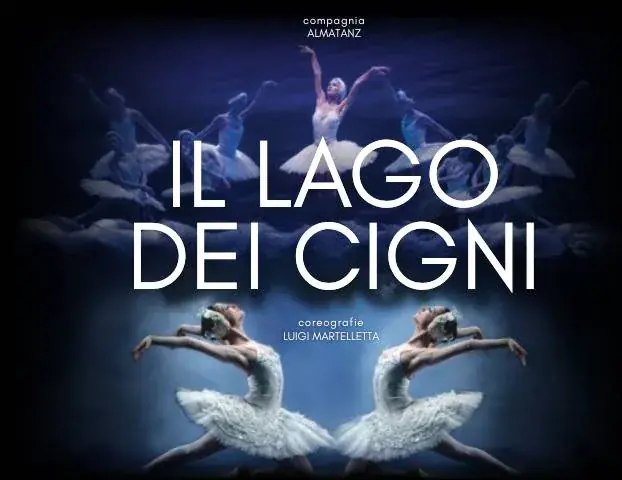 Il lago dei cigni