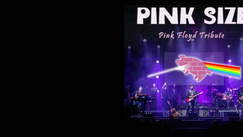 Pink Size - Pink Floyd Tribute