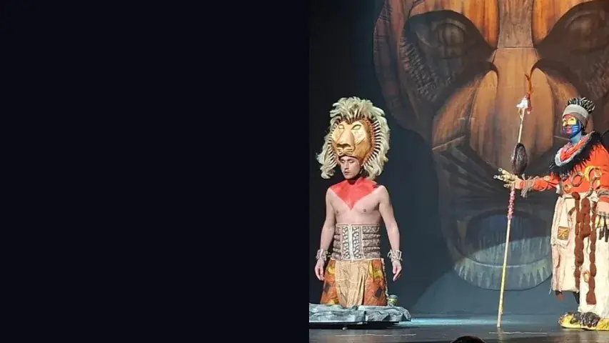 Il Cerchio della Vita Il Musical