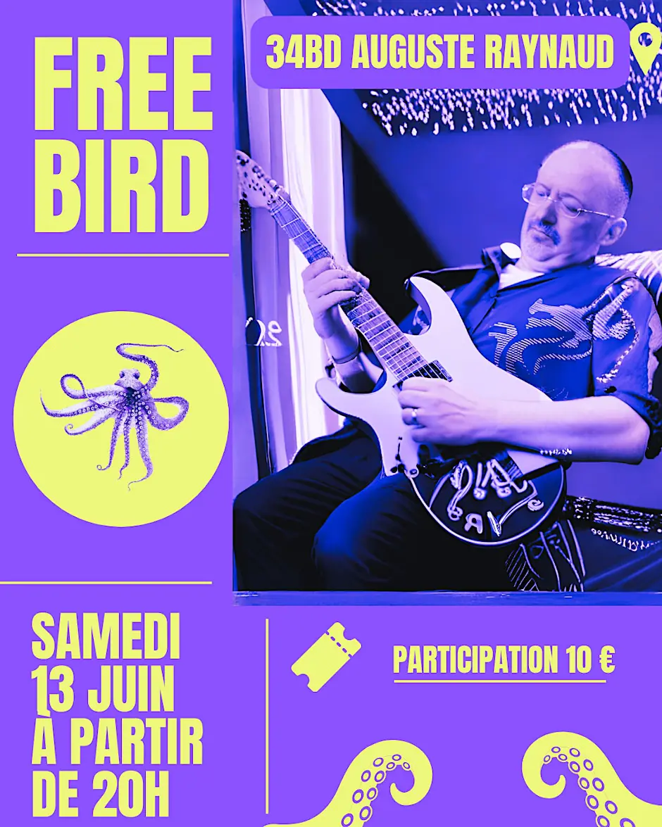 Freebird Concert - LIVE